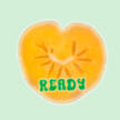 READY